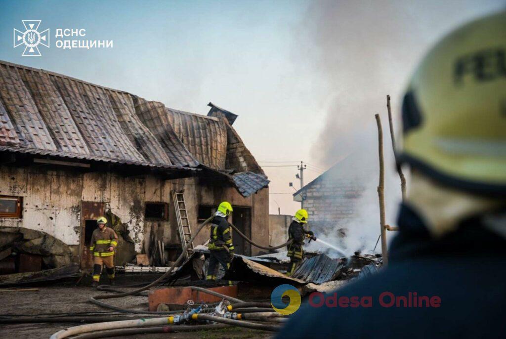 При пожаре под Одессой пострадал мужчина и сгорели 11 свиней