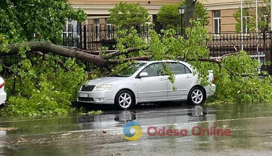«Деревопад» в Одессе: на проспекте Гагарина накрыло два автомобиля (фотофакт)