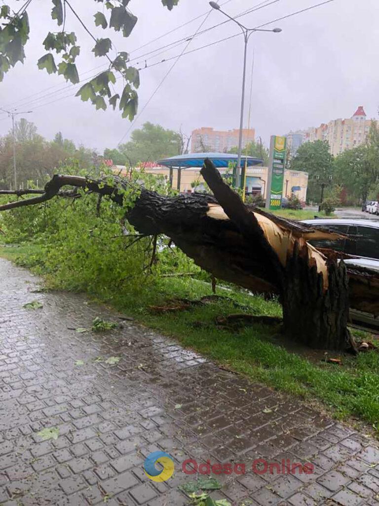 «Деревопад» в Одессе: на проспекте Гагарина накрыло два автомобиля (фотофакт)