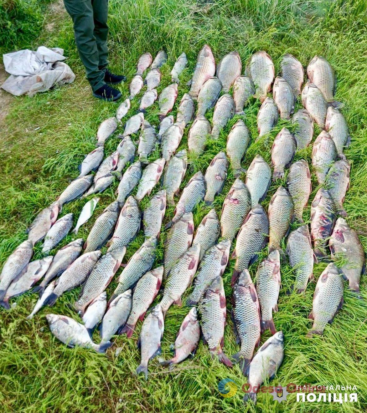 На Дністровському лимані браконьєри наловили риби на 230 тисяч гривень