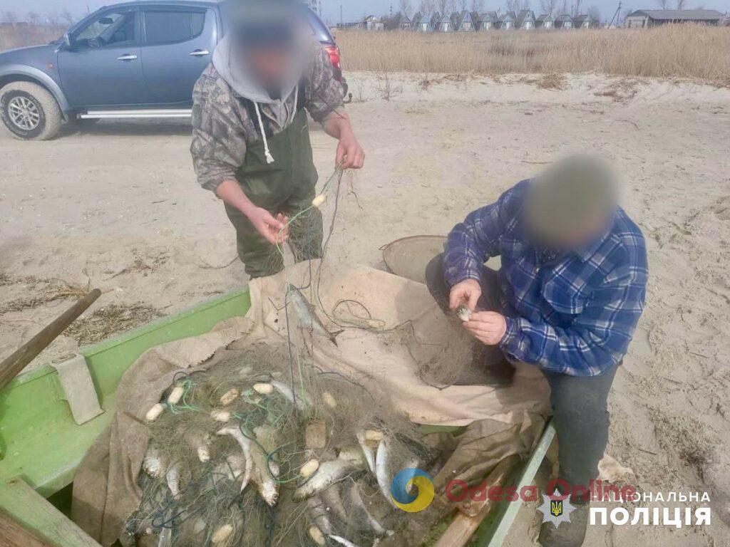 Браконьеры наловили в Черном море селедки на полмиллиона гривен