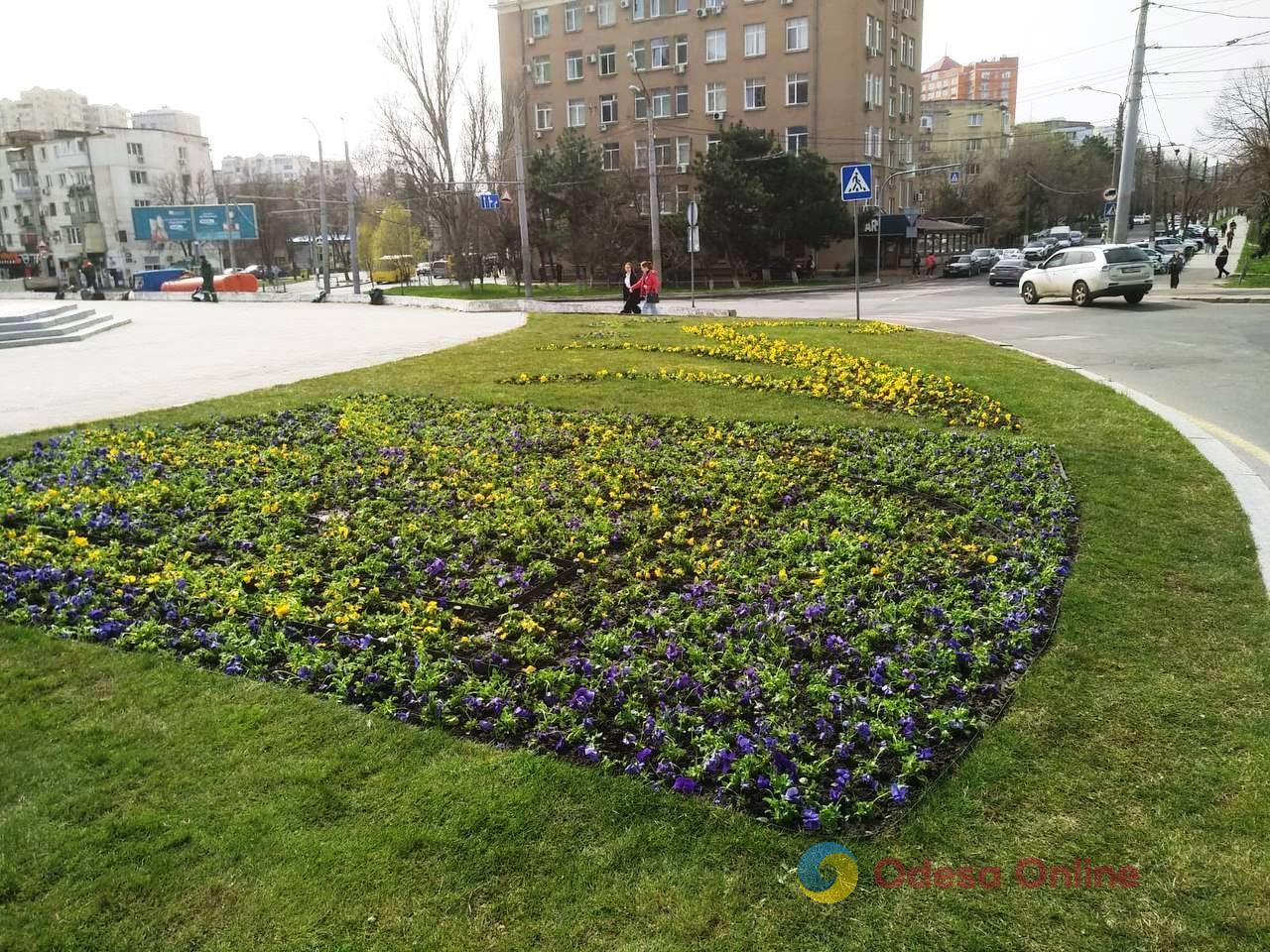 В Одесі почали висаджувати весняні квіти (фото)