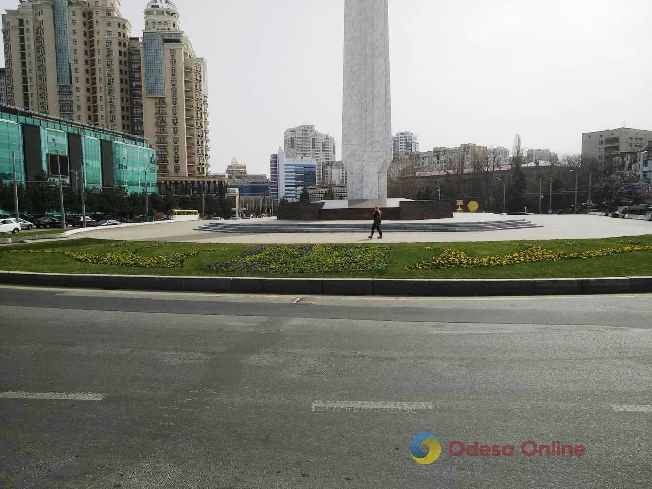 В Одессе начали высаживать весенние цветы (фото)