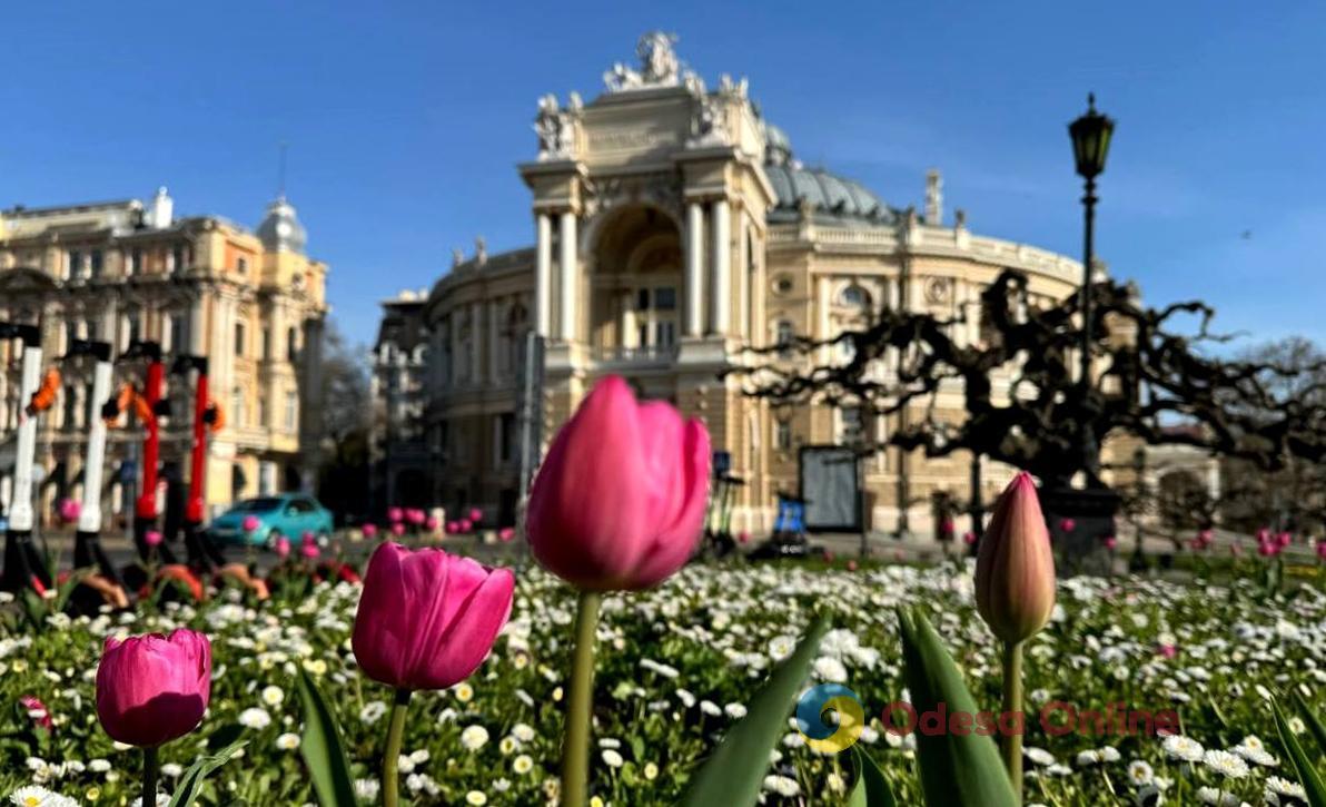 Одессу украсили 42 тысячи тюльпанов