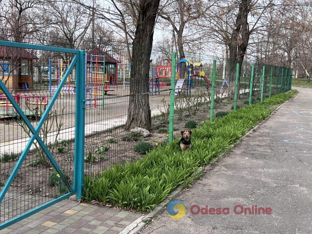 Два роки після звільнення: як сьогодні живе Вознесенськ