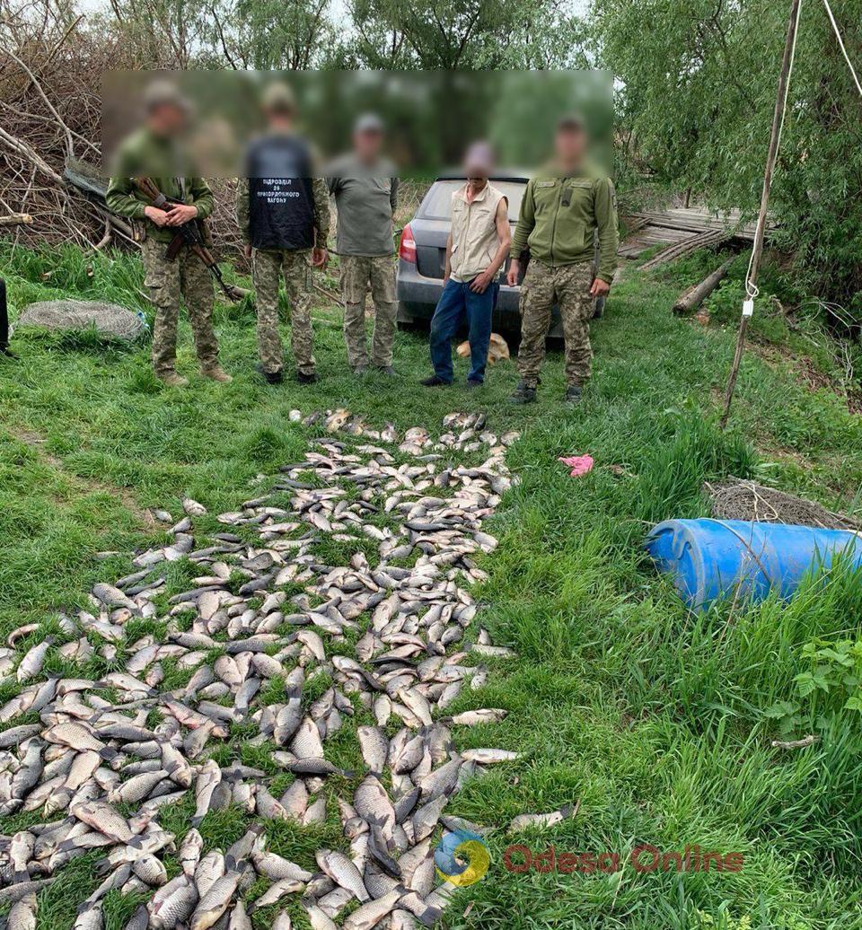 На Одещині браконьєр наловив риби більше ніж на мільйон гривень