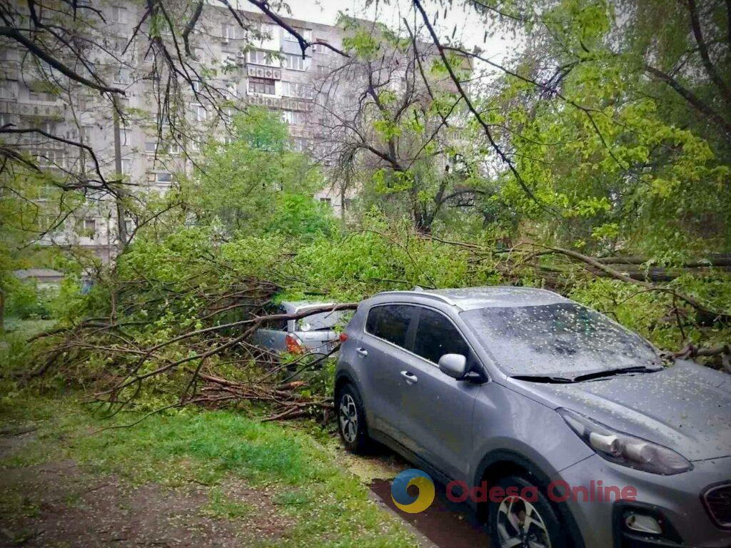 Повалене дерево перекрило рух транспорту по вулиці Приморській в Одесі