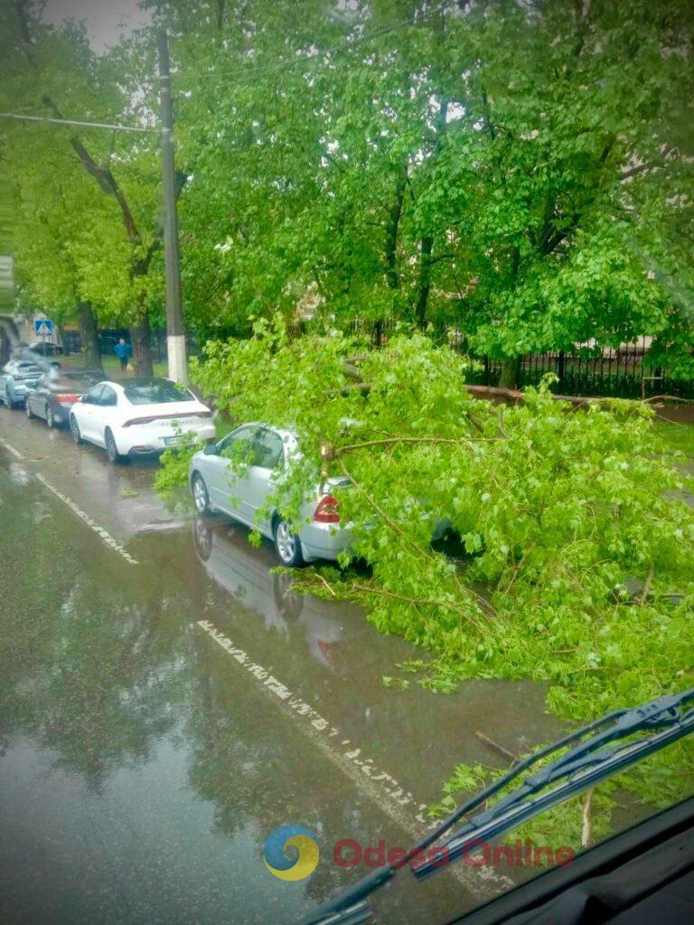 Повалене дерево перекрило рух транспорту по вулиці Приморській в Одесі