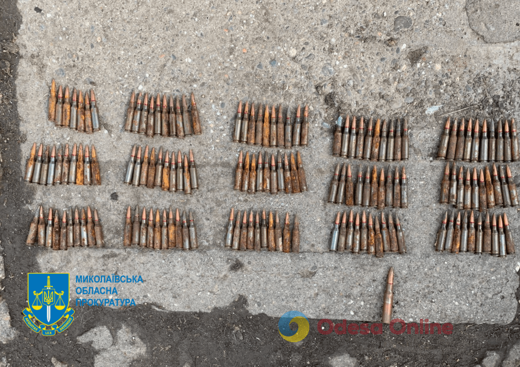 Незаконный бизнес: в Николаевской области продавали трофейное оружие (фото)