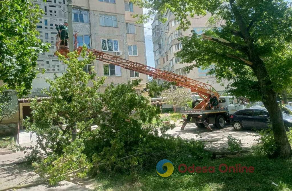 В Одессе порывистый ветер валил деревья