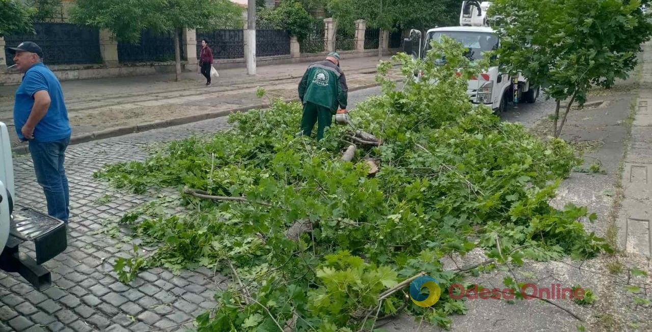 В Одесі поривчастий вітер валив дерева