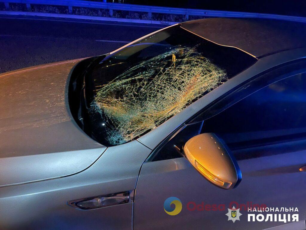 Ночью на трассе Киев – Одесса женщина сбила пешехода