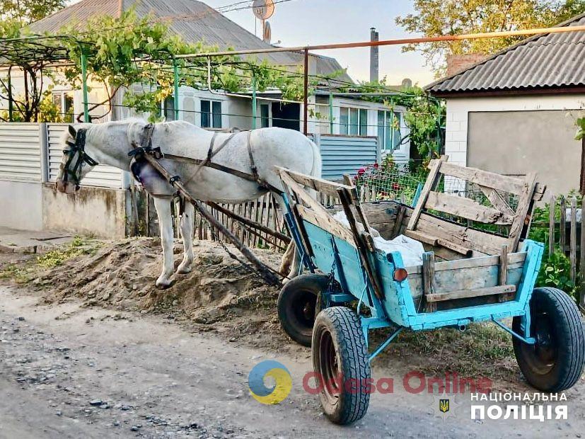 Житель Одеської області від образи викрав коня у односельця