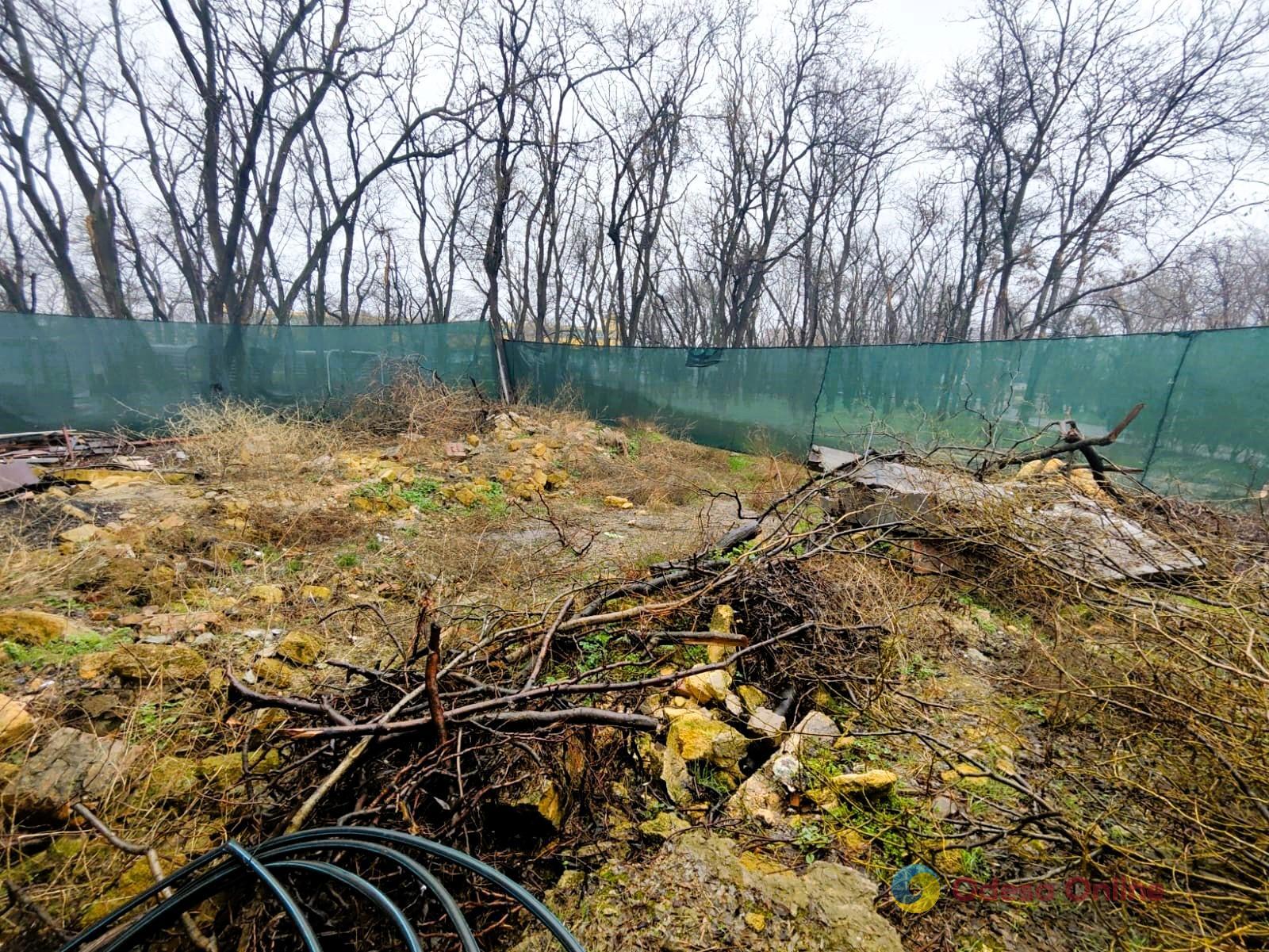 В Одеському парку влаштували стихійне сміттєзвалище
