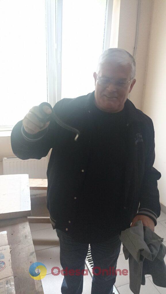 Жителей многоэтажки в Одессе испугала змея
