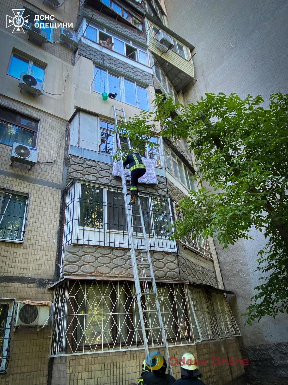 Одесские пожарные спасли кота (фото, видео)