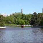 В прудах парка Победы улучшается техническое состояние воды, — мэрия