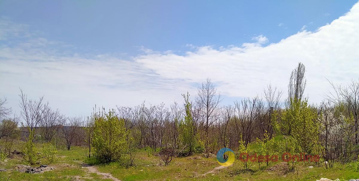В Одесі продадуть ще три ділянки землі під забудову
