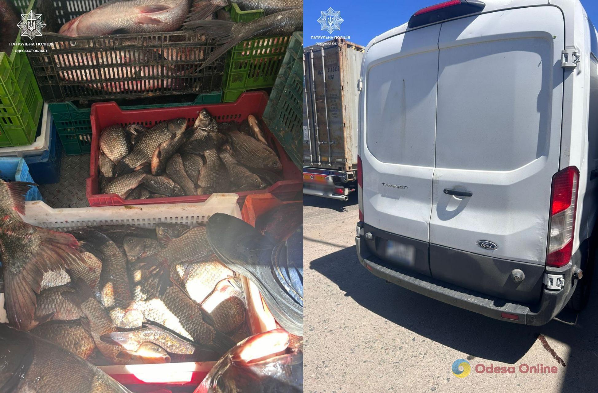 Одеські патрульні зупинили водія, який незаконно перевозив понад 130 кілограмів риби