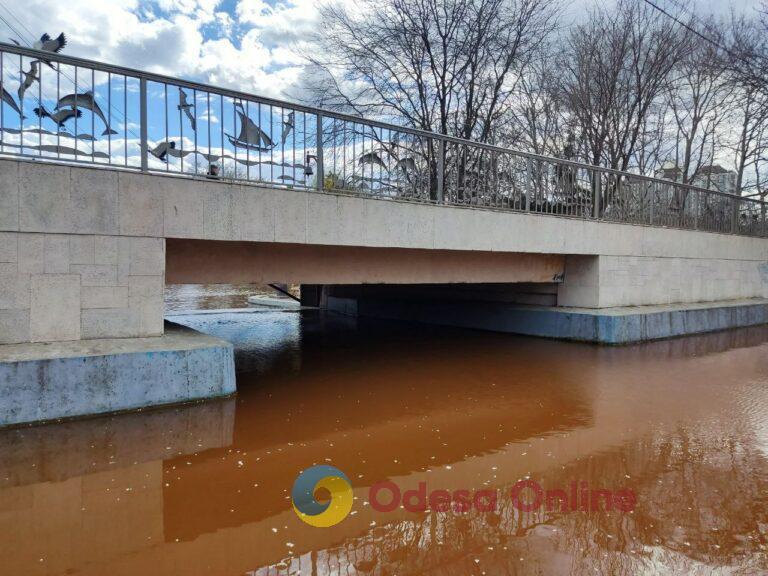 Одесса: в департаменте экологии рассказали о причине изменения цвета воды в прудах дендропарка Победы