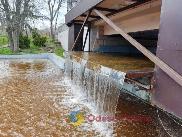 Одесса: в департаменте экологии рассказали о причине изменения цвета воды в прудах дендропарка Победы