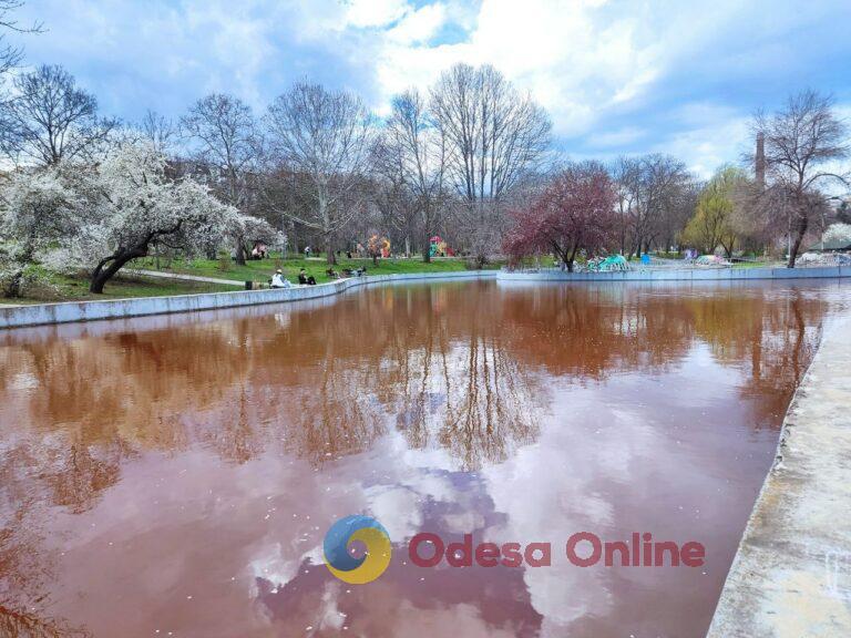 Одесса: в департаменте экологии рассказали о причине изменения цвета воды в прудах дендропарка Победы