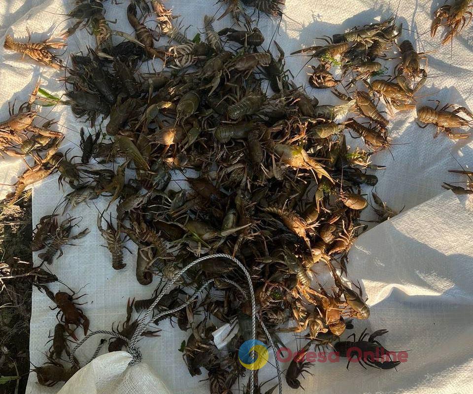 На Одещині затримали браконьєрів, які наловили раків на більш як мільйон гривень