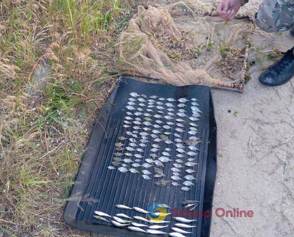 Улов на 5 мільйонів: на Одещині затримали браконьєра, який виловив 330 креветок та 122 особини калкана