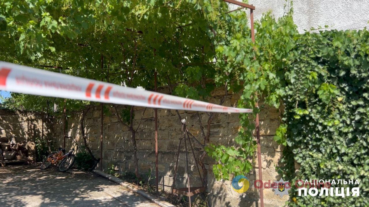 Забил до смерти собутыльника: в Одесской области застолье закончилось убийством