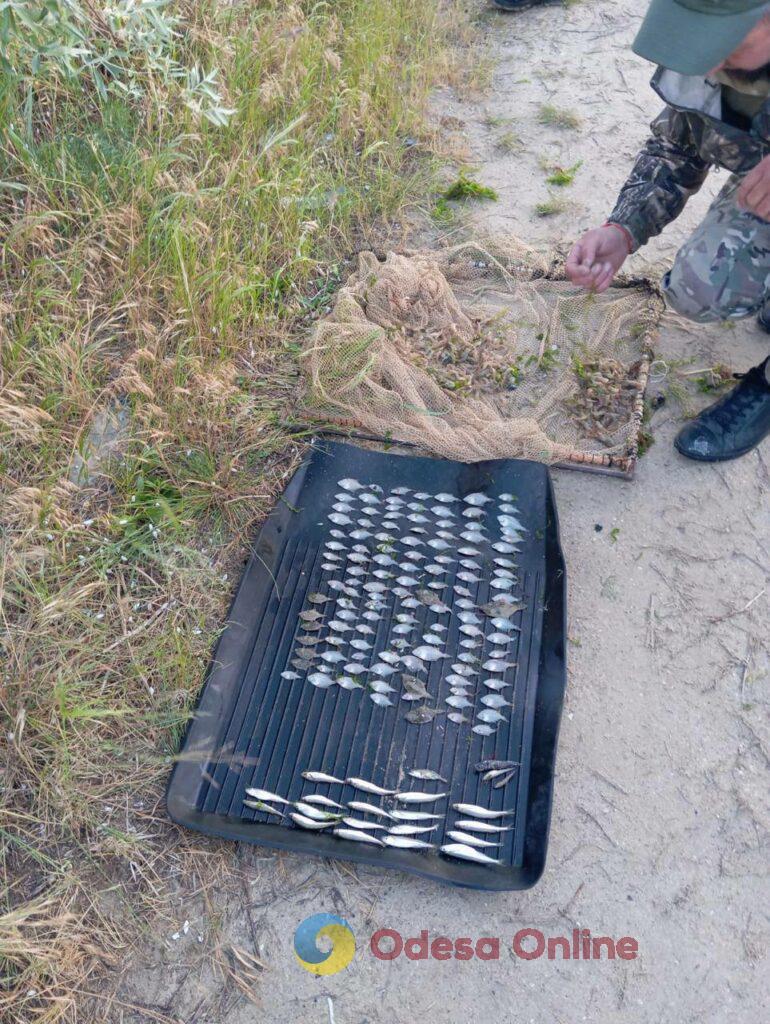 Улов на 5 миллионов: в Одесской области задержали браконьера