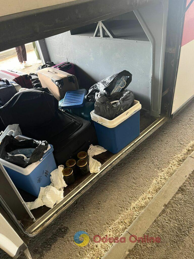 В Одесской области водитель рейсового автобуса пытался перевезти в Молдову 8 кг черной икры