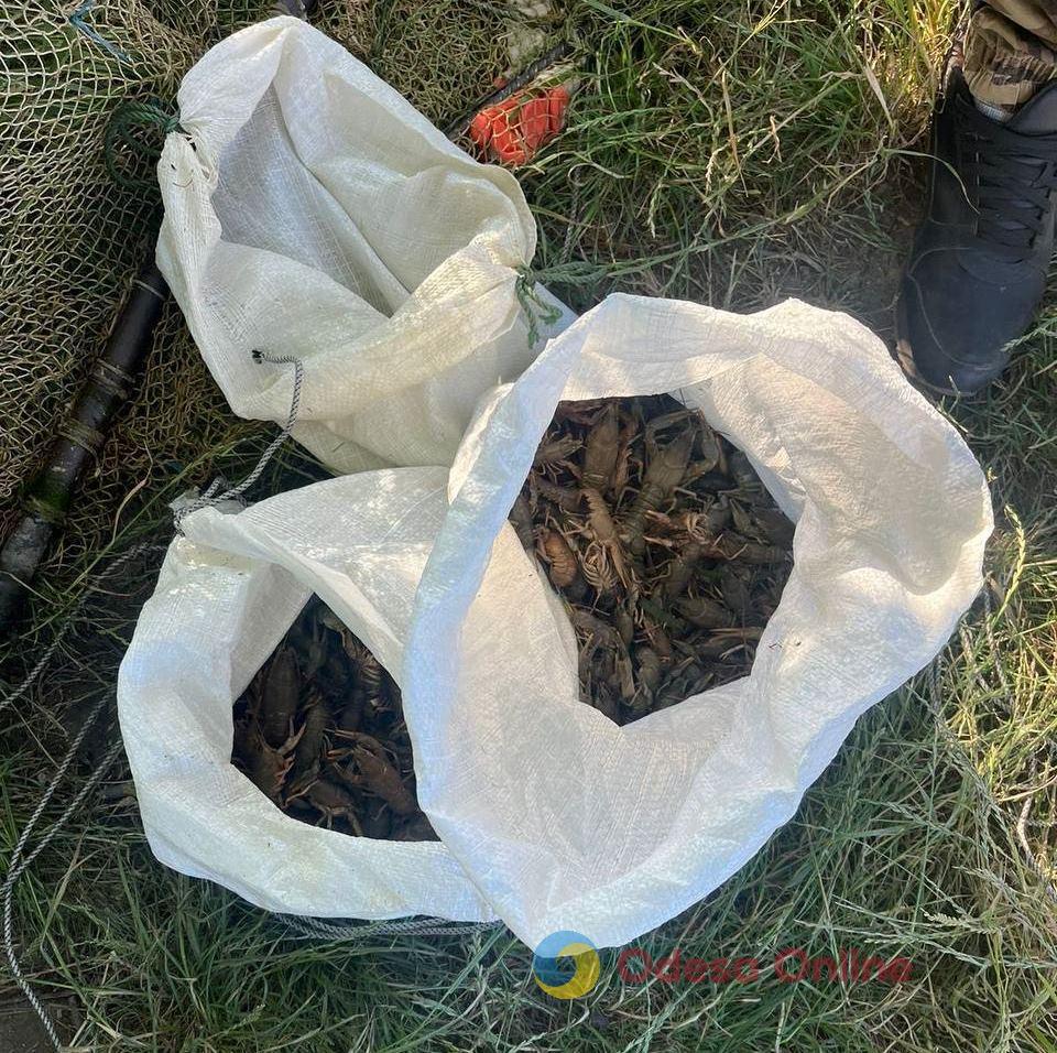 На Одещині затримали браконьєрів, які наловили раків на більш як мільйон гривень