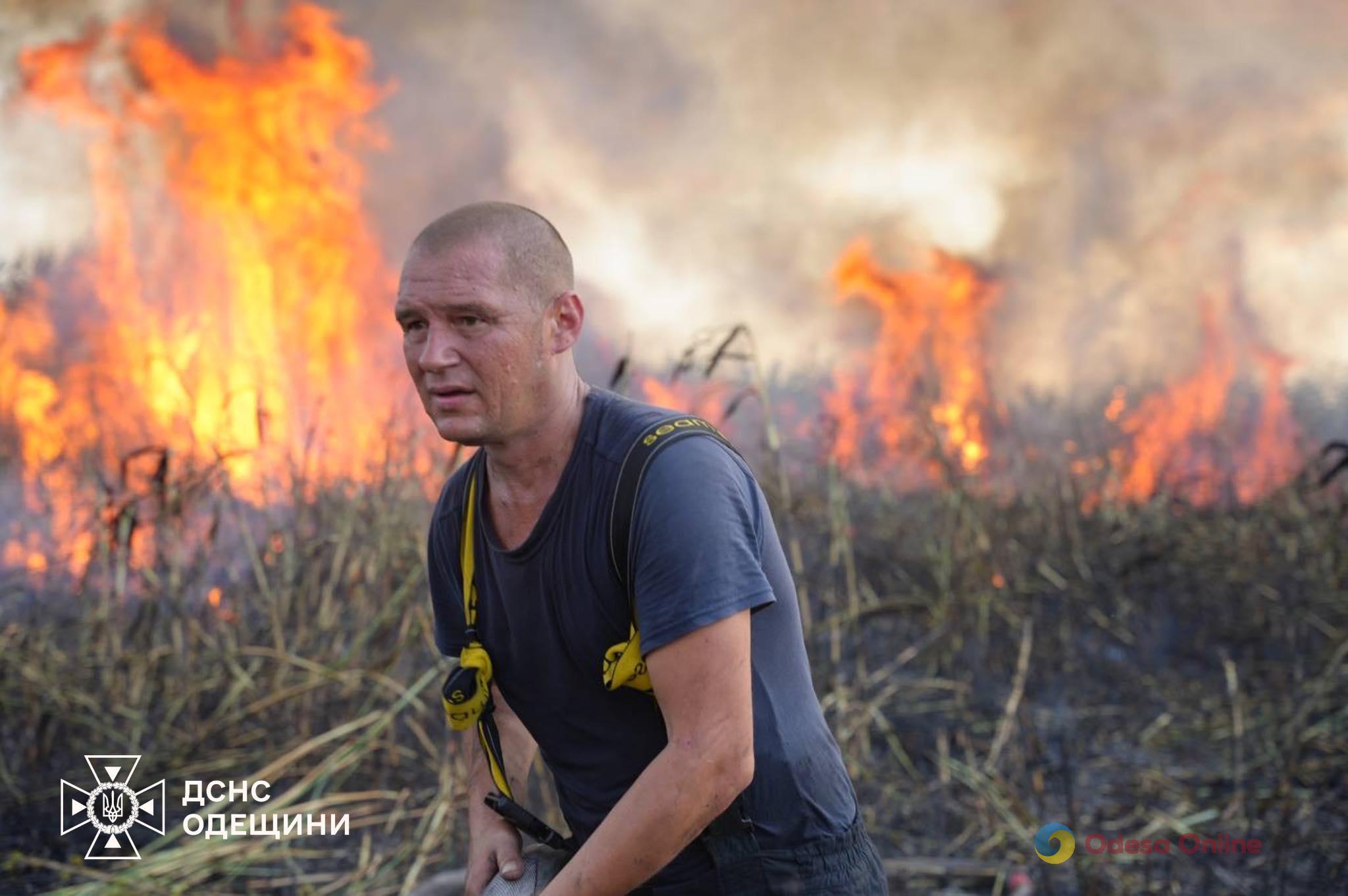 Понад шість годин одеські рятувальники боролися з пожежею на полях зрошення (фото, відео)