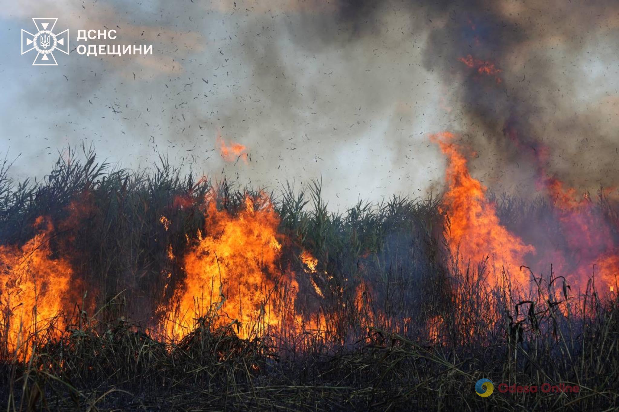 Понад шість годин одеські рятувальники боролися з пожежею на полях зрошення (фото, відео)