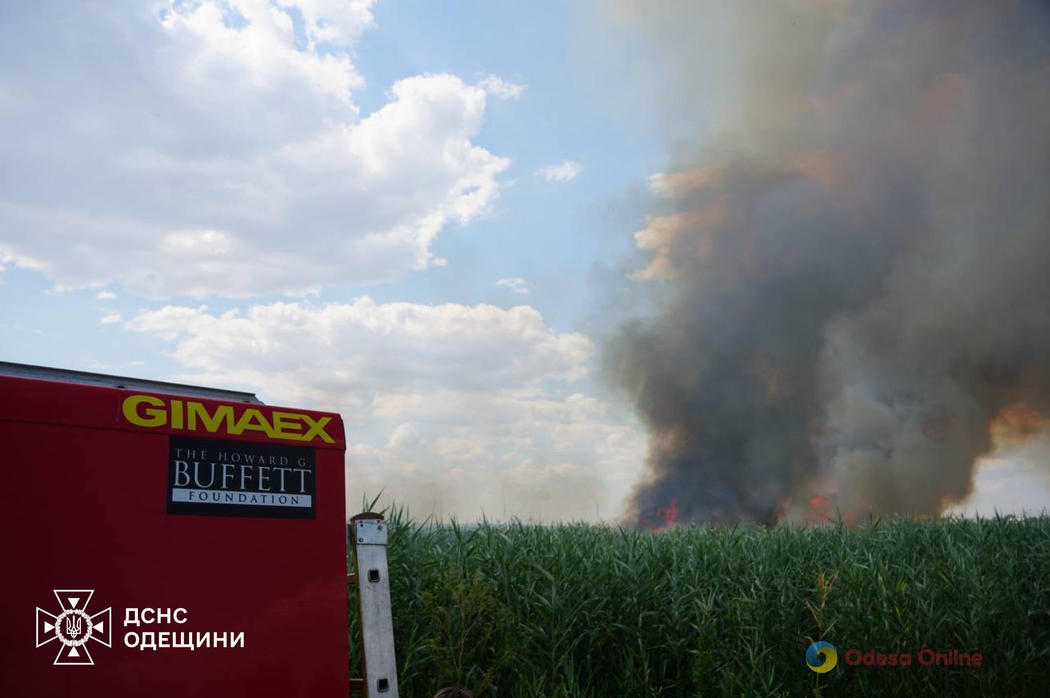 Больше шести часов одесские спасатели боролись с пожаром на полях орошения (фото, видео)