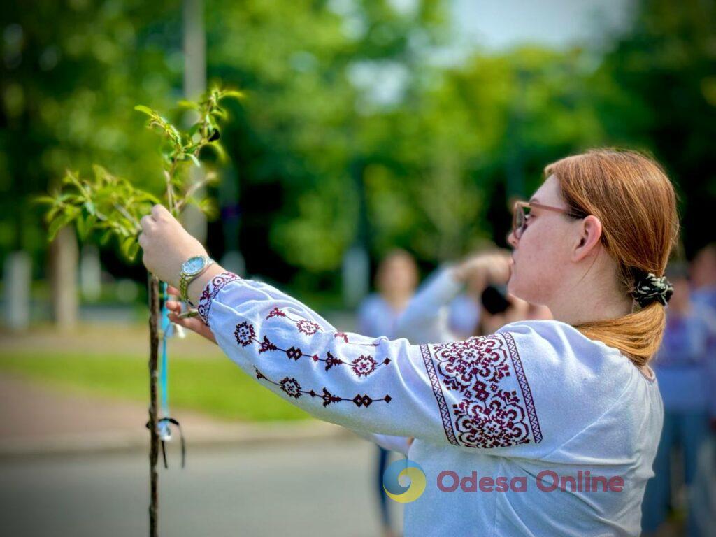 В Одесе появилась аллея сакур в память о детях, погибших в ходе войны