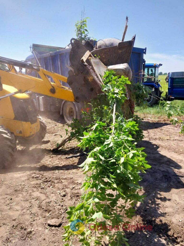 В Одеському районі після втручання екологів ліквідували сміттєзвалище поблизу ЖК «Райдужний» (фото)