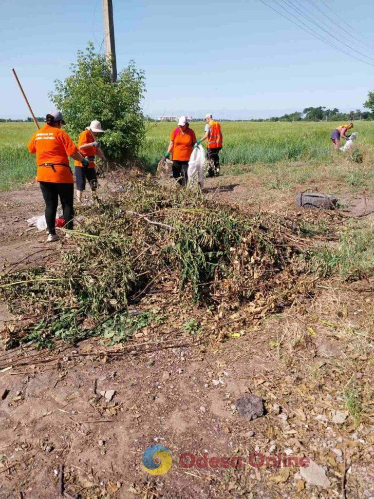 В Одеському районі після втручання екологів ліквідували сміттєзвалище поблизу ЖК «Райдужний» (фото)