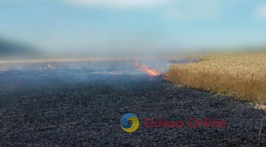 РФ вдарила касетною боєголовкою по пшеничному полю під Одесою