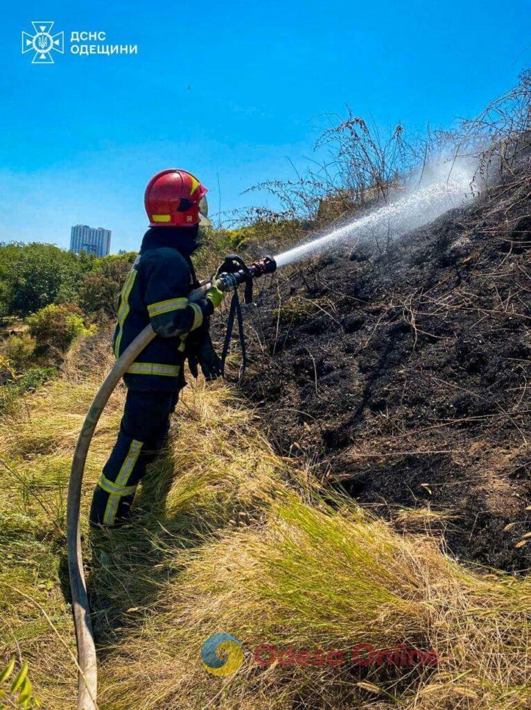 Пожарные борются с огнем на склонах Трассы Здоровья (видеофакт, обновлено)
