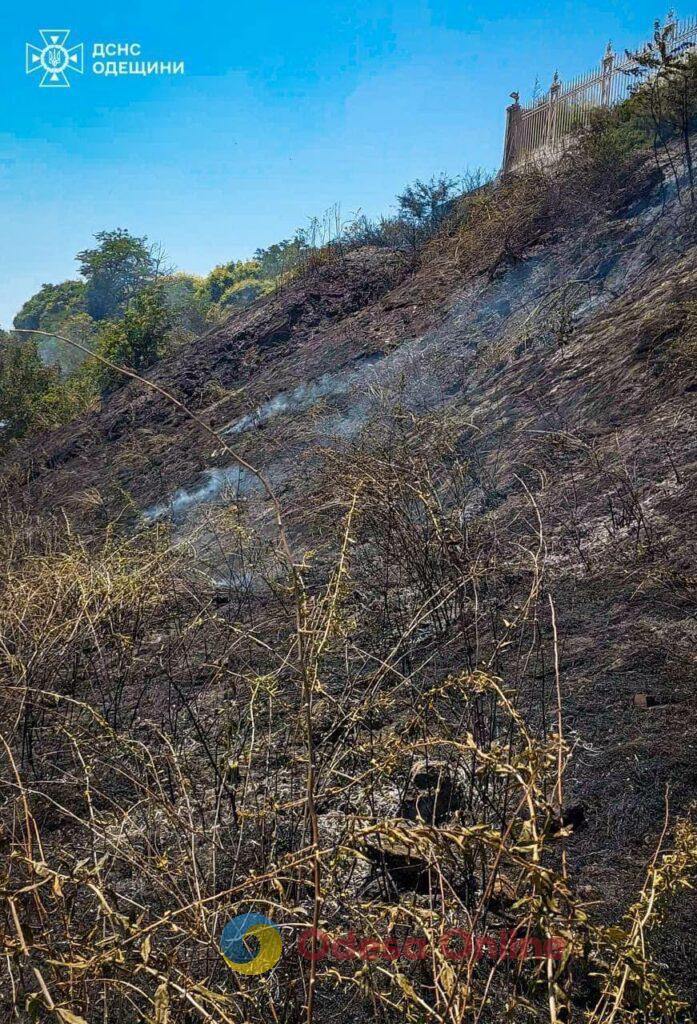 Пожарные борются с огнем на склонах Трассы Здоровья (видеофакт, обновлено)