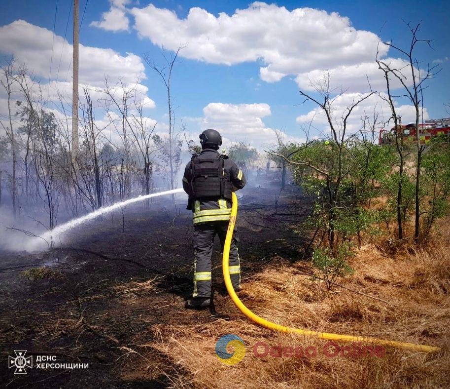 В Херсонской области за сутки из-за вражеских обстрелов выгорело 16 гектаров экосистем