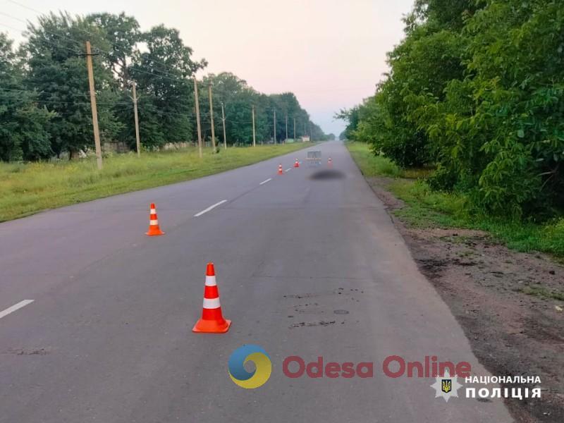 Одесская область: в поселке Рауховка на дороге нашли тело мужчины