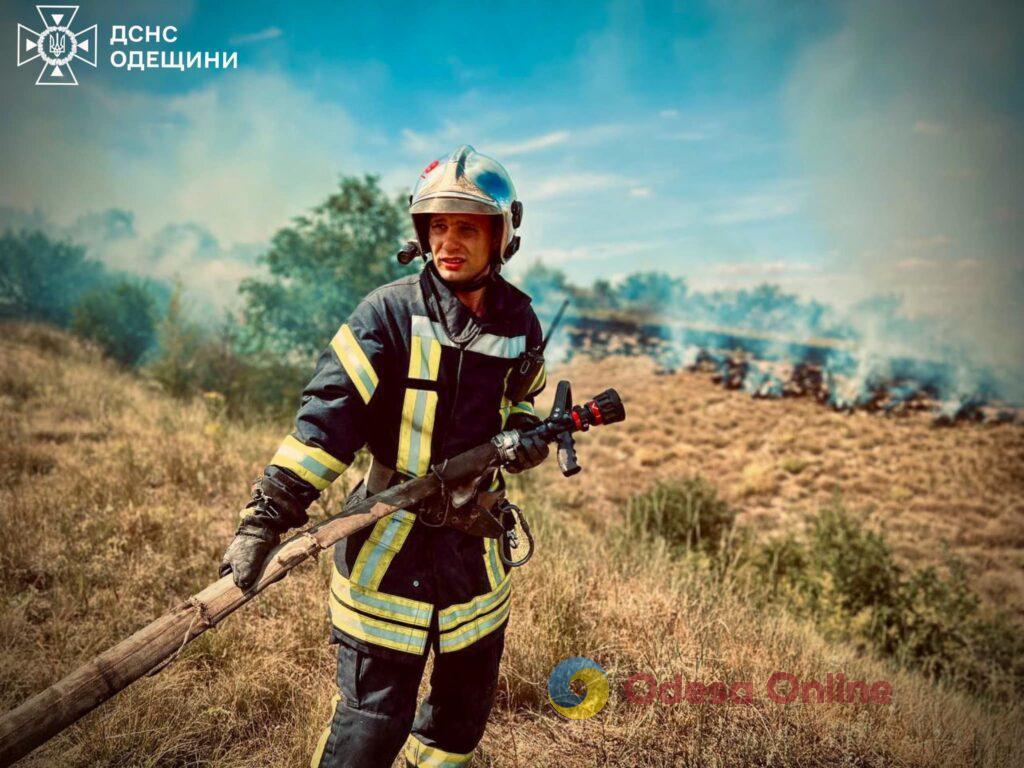 В Одеській області з початку літа сталось понад 600 пожеж на відкритих територіях