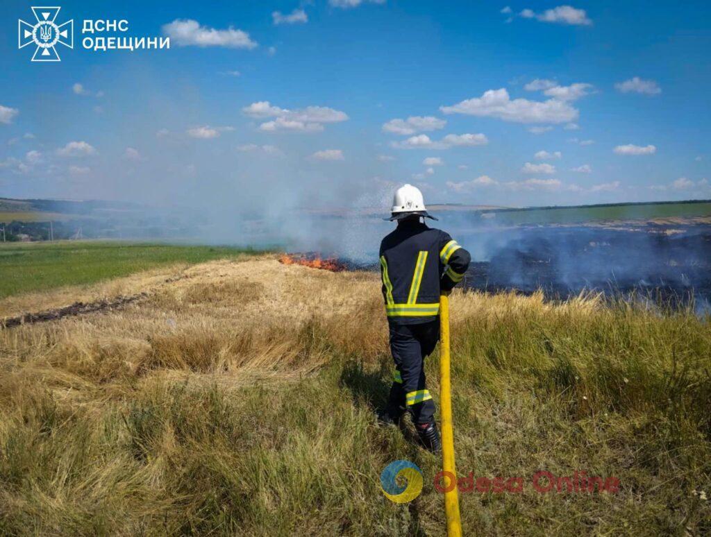 В Одеській області з початку літа сталось понад 600 пожеж на відкритих територіях