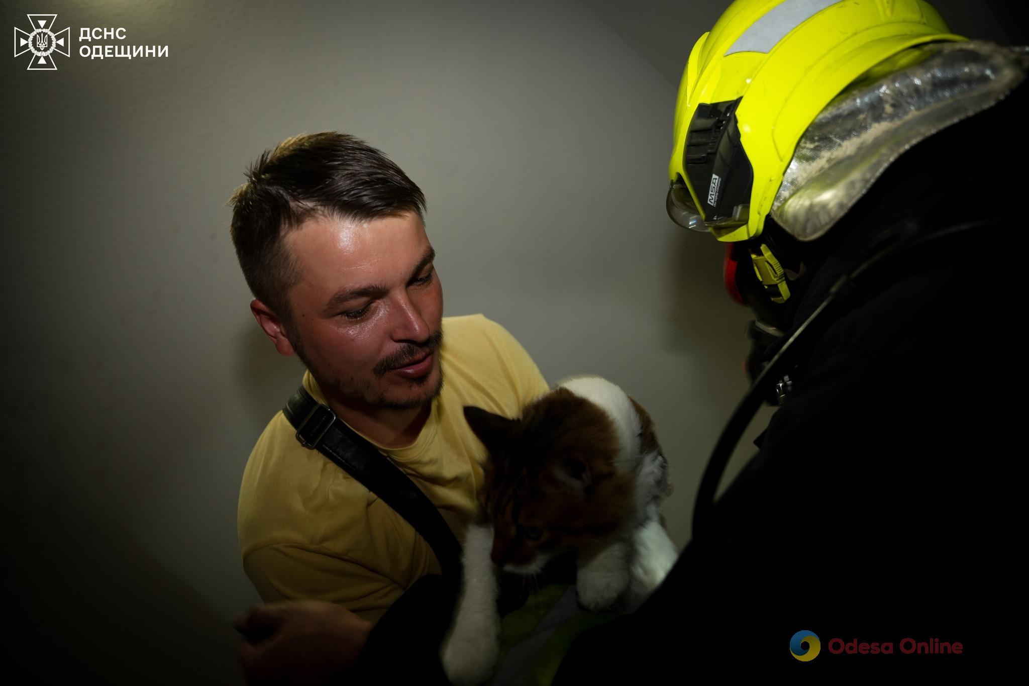 Під час пожежі у п’ятиповерхівці під Одесою врятували жінку з дитиною, а також кота (фото, відео)