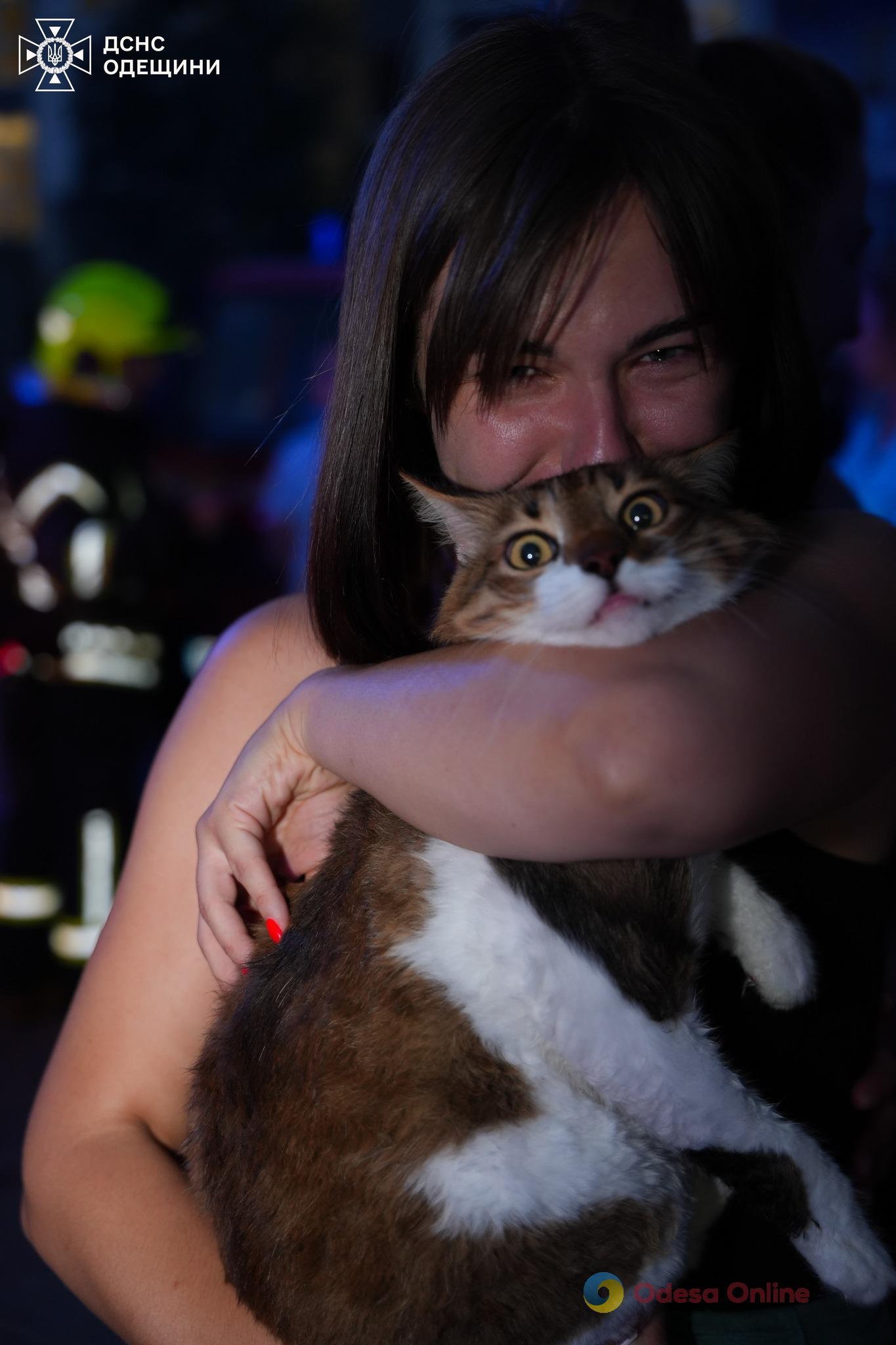 Під час пожежі у п’ятиповерхівці під Одесою врятували жінку з дитиною, а також кота (фото, відео)