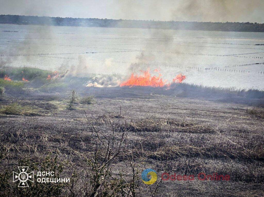 В Одесской области за двое суток произошло более 100 пожаров на открытой местности