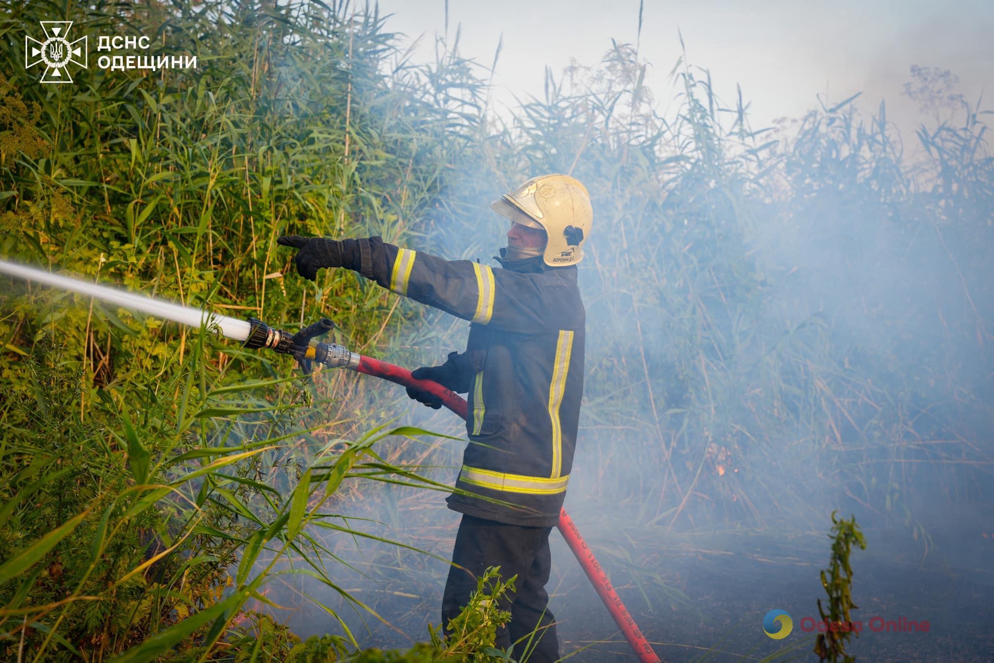 В Одесской области за сутки выгорело более 60 гектаров земли (фото, видео)