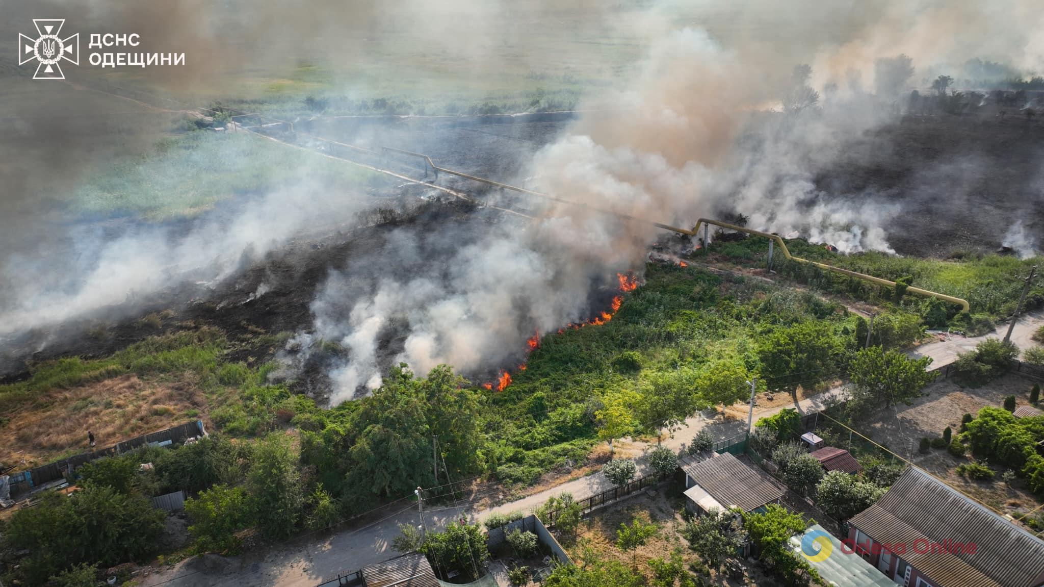 На Одещині за добу вигоріло понад 60 гектарів землі (фото, відео)